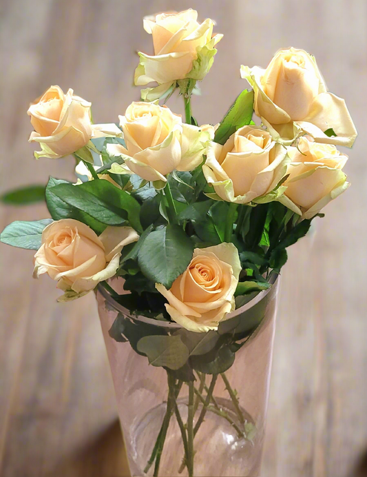 Avalanche Peach Roses